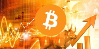 What is a bull market?