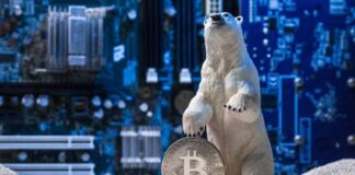 What Is Crypto Winter?