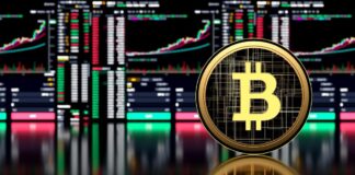 The biggest mistakes new crypto investors make